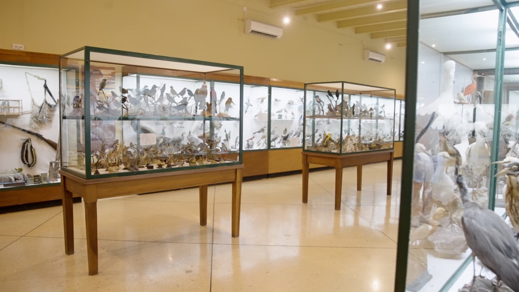 National History Museum