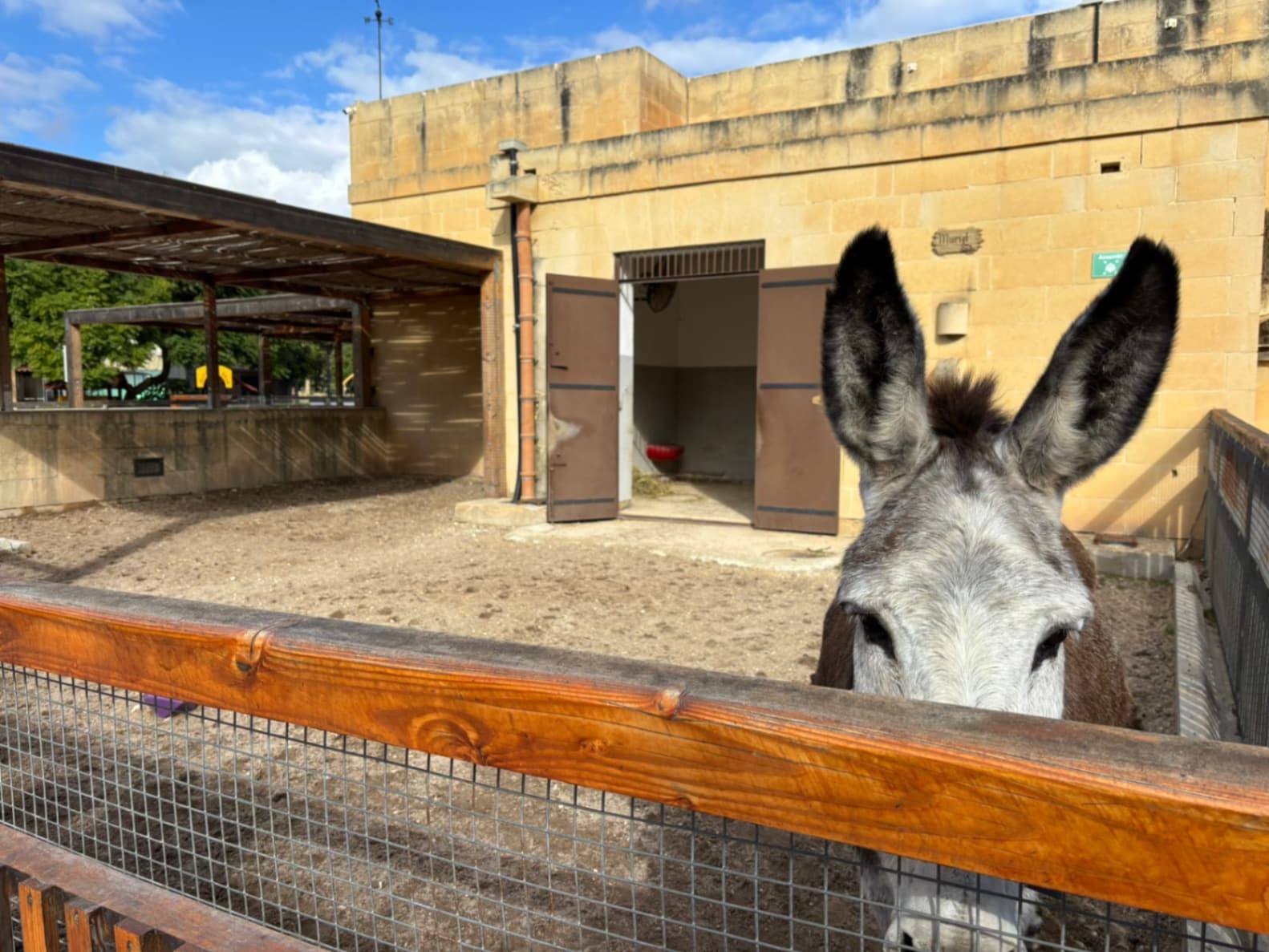 Ta Qali Petting Farm