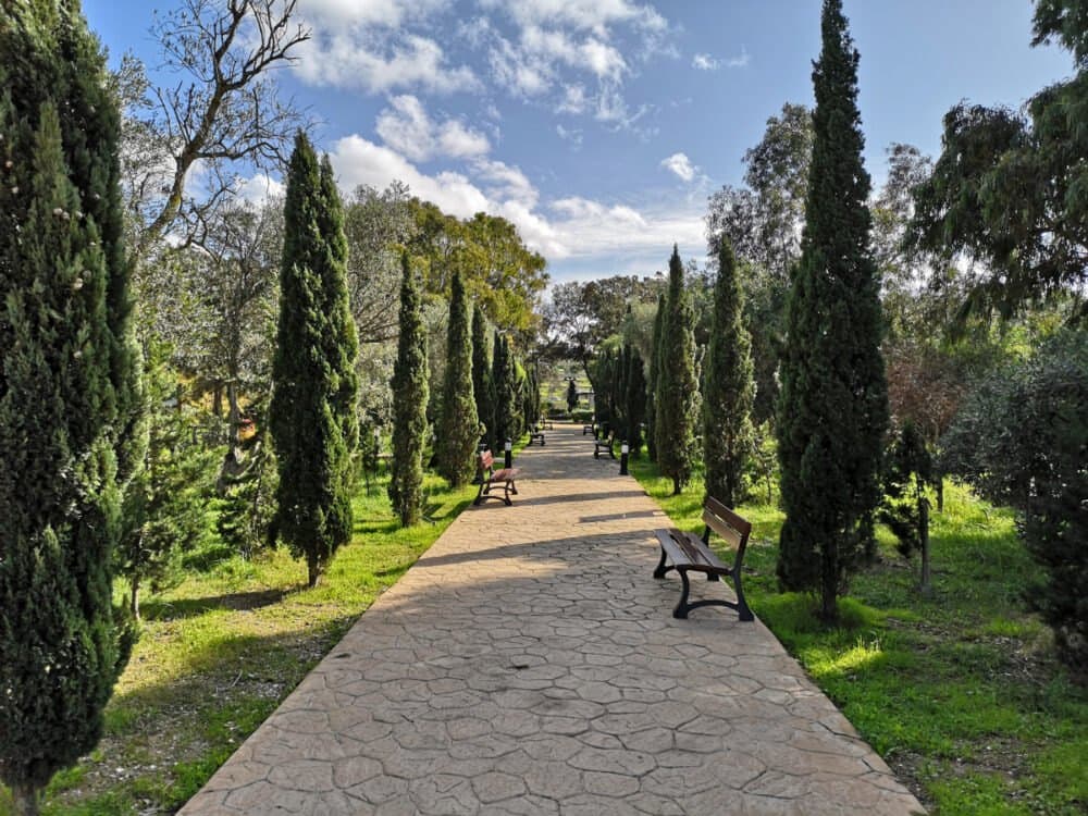 Salini National Park